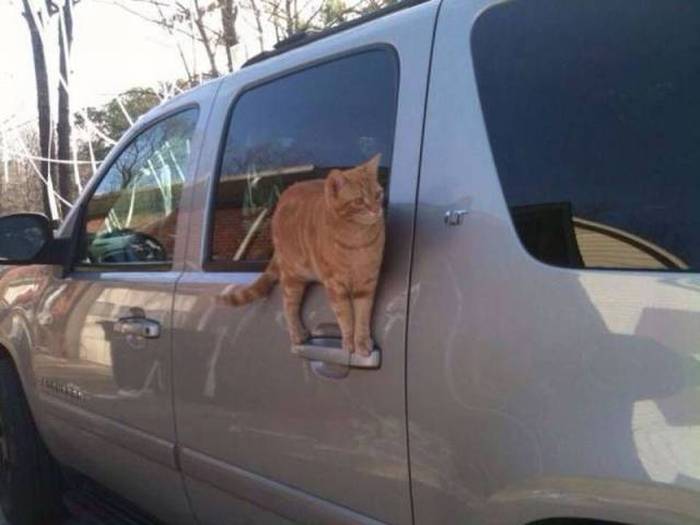 Acid Picdump (106 pics)