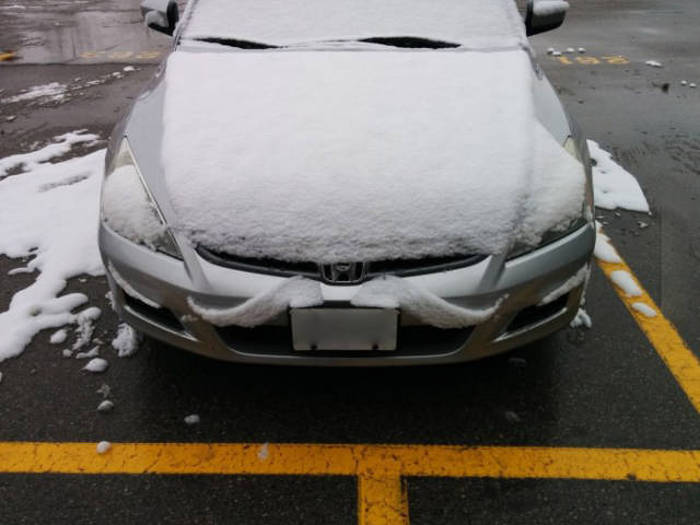 Acid Picdump (106 pics)