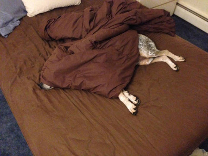 Acid Picdump (106 pics)