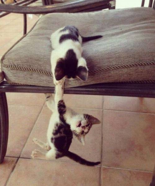 Acid Picdump (106 pics)