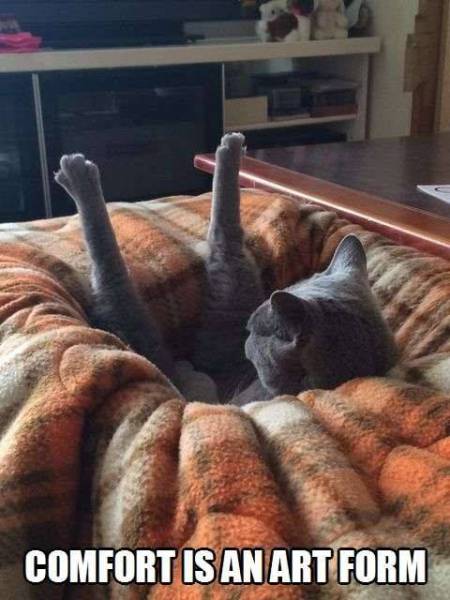 Acid Picdump (106 pics)