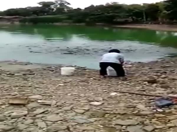 Hungry Fish In China Come Ashore To Eat