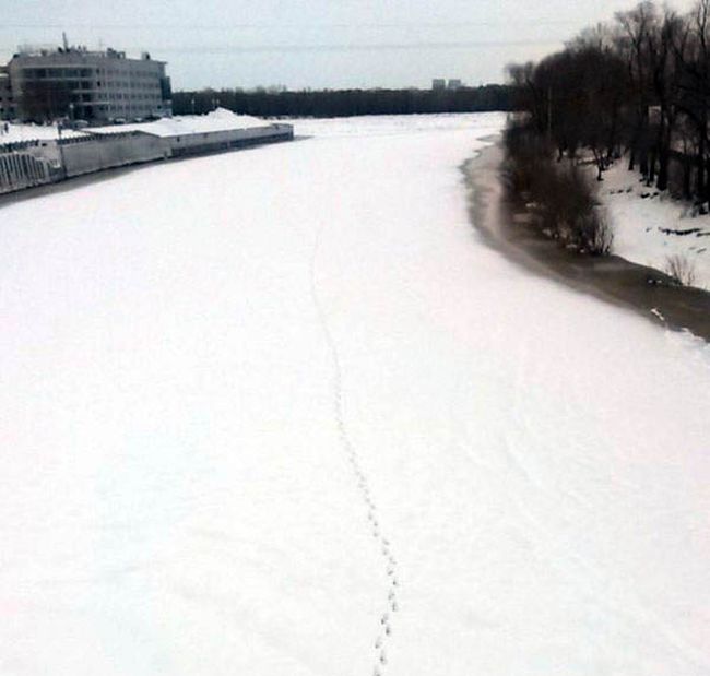 Footprints That End In An Awkward Spot (3 pics)