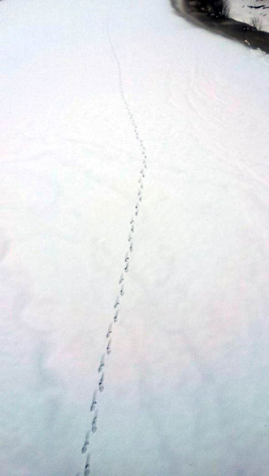 Footprints That End In An Awkward Spot (3 pics)