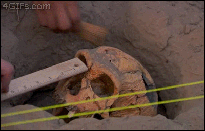 Awesome Moments That Almost Happened (26 gifs)