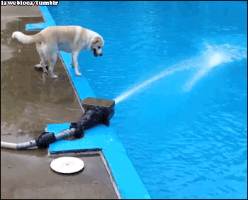 Awesome Moments That Almost Happened (26 gifs)
