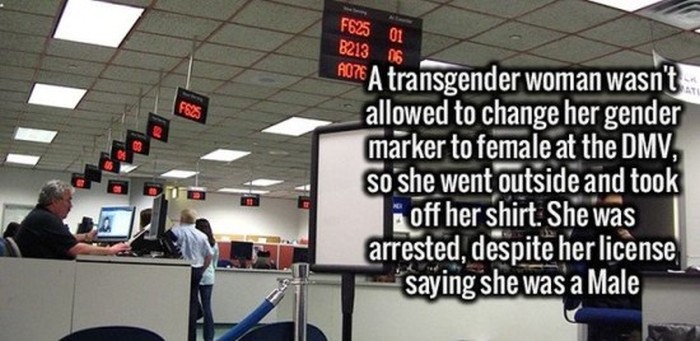 Over The Top And Interesting Facts That Will Blow Your Mind (24 pics)