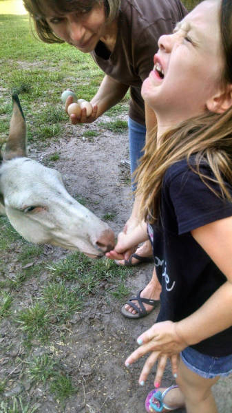 Don't Even Ask Because The Answer Is Nope (57 pics)