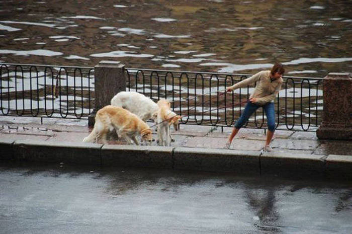 Don't Even Ask Because The Answer Is Nope (57 pics)