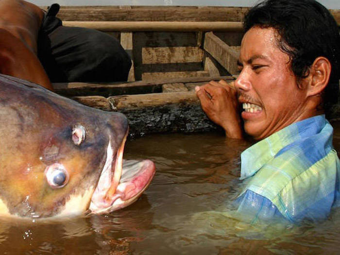 Don't Even Ask Because The Answer Is Nope (57 pics)
