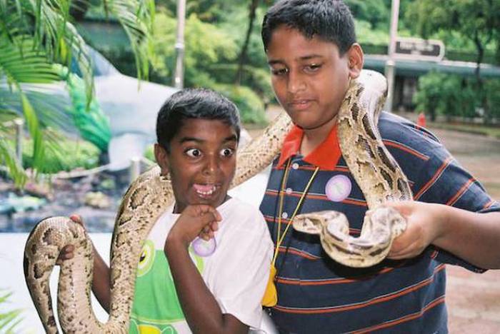 Don't Even Ask Because The Answer Is Nope (57 pics)