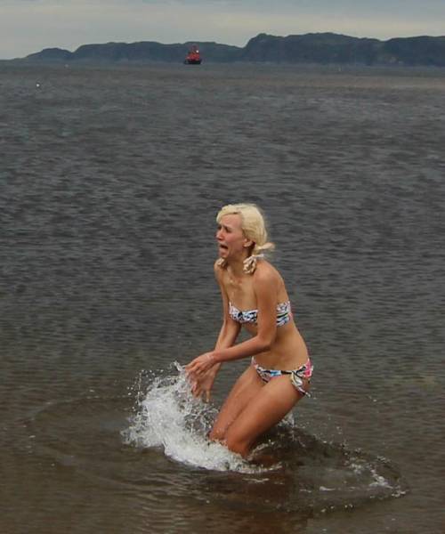 Don't Even Ask Because The Answer Is Nope (57 pics)