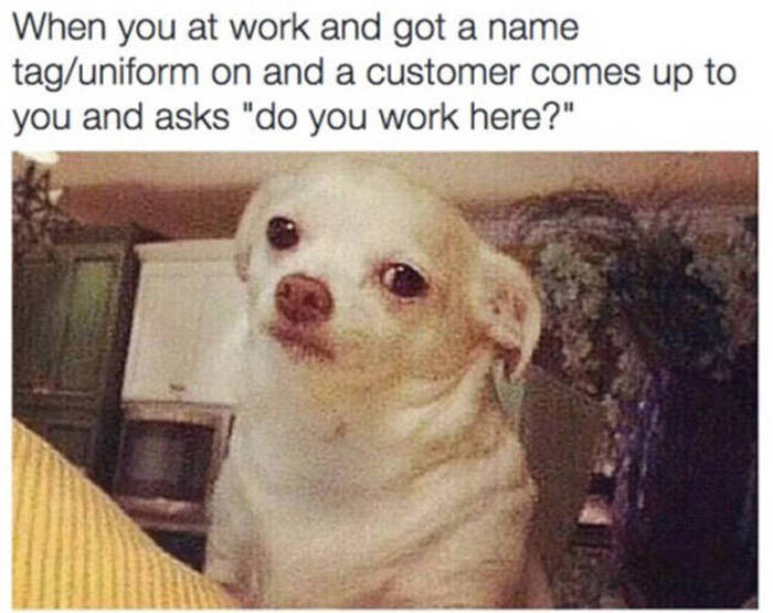 Memes That Will Deliver The Laughs You Need Right Now (35 pics)