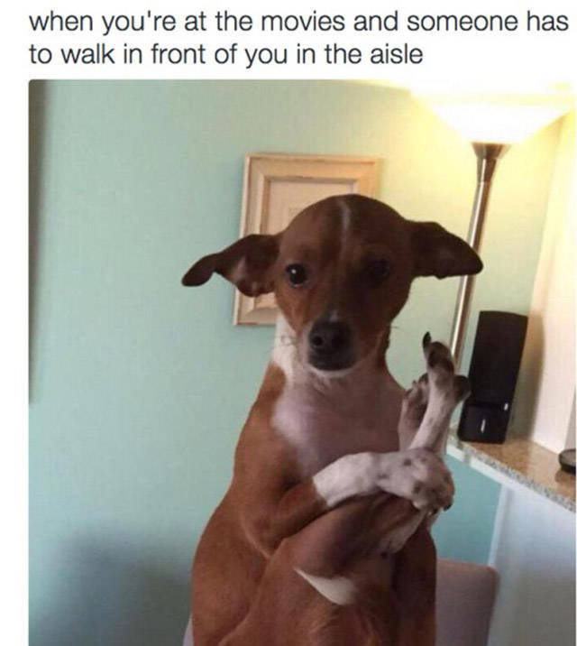 Memes That Will Deliver The Laughs You Need Right Now (35 pics)