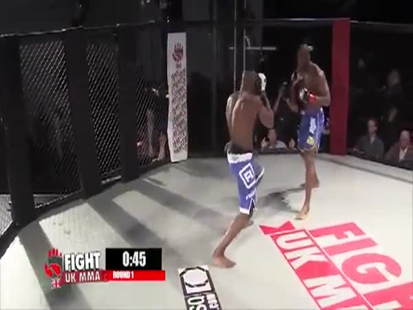 MMA Fighter Continues To Punch Opponent After Knockout