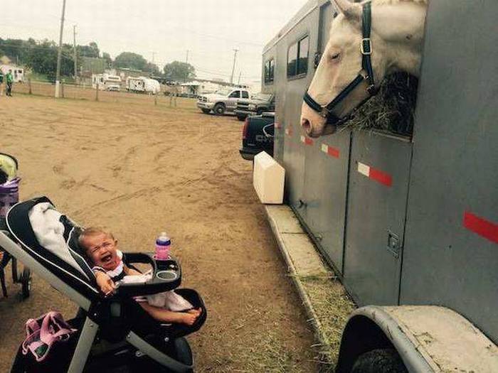 Acid Picdump (117 pics)