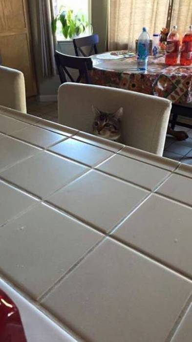 Acid Picdump (117 pics)
