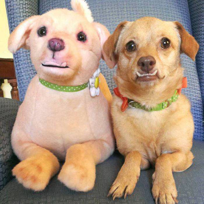 Acid Picdump (117 pics)