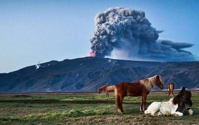 Acid Picdump (117 pics)