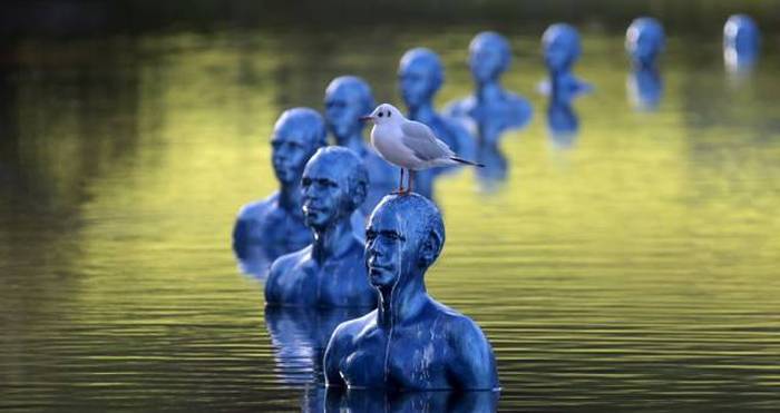 Acid Picdump (117 pics)