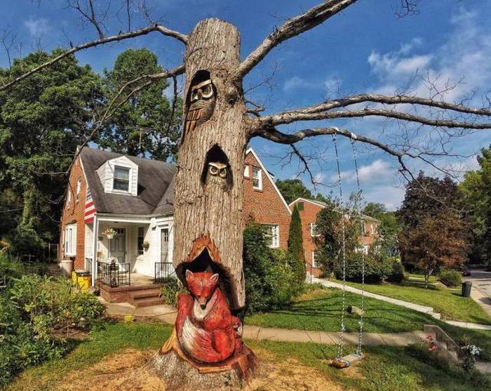 Acid Picdump (117 pics)