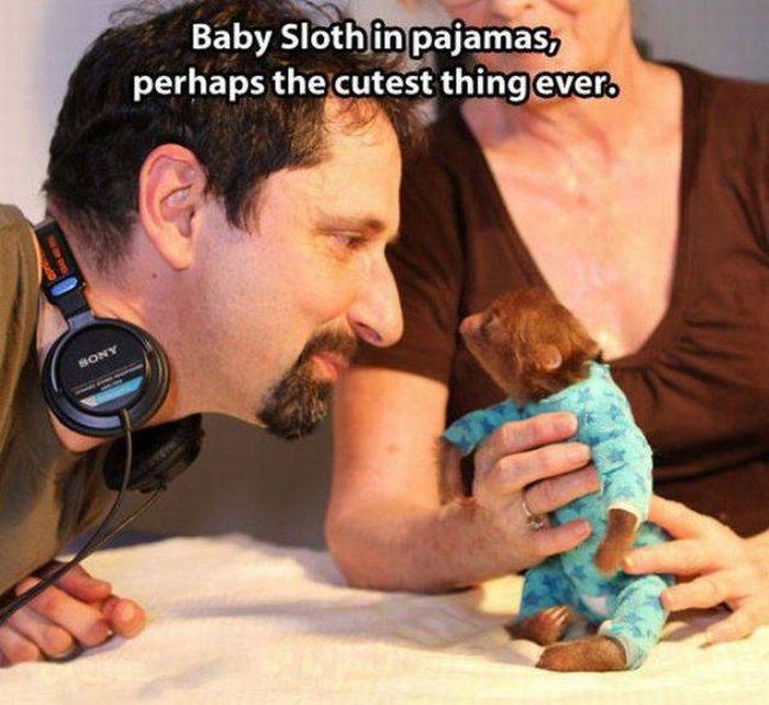 Acid Picdump (117 pics)