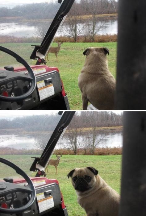 Acid Picdump (117 pics)