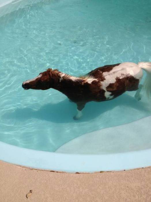 Acid Picdump (117 pics)