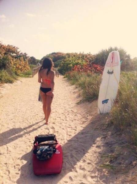 Sexy Surfer Girls That Prove Summer Is The Best Season (49 pics)