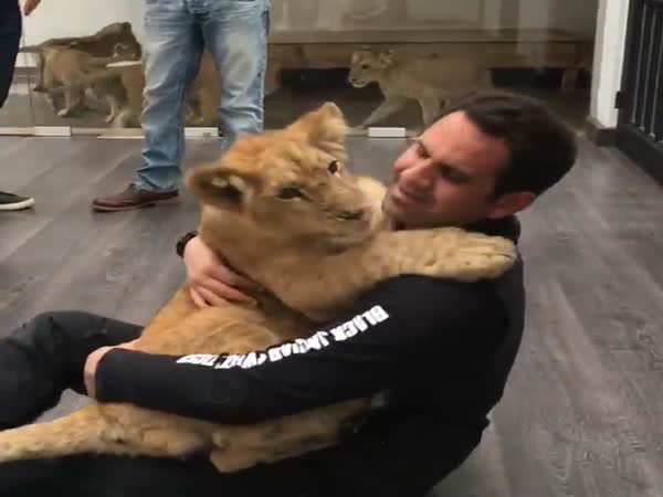 Guy Hugging A Lion