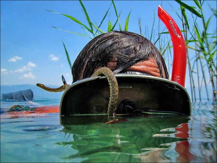 Wildlife Photographers Have A Lot Of Fun On The Job (28 pics)