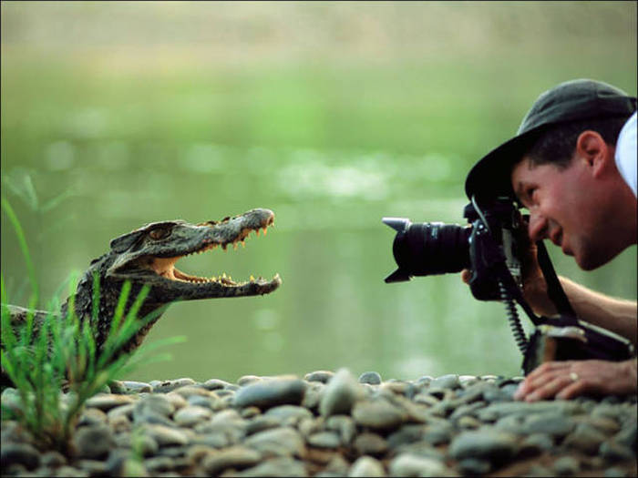 Wildlife Photographers Have A Lot Of Fun On The Job (28 pics)