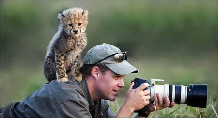 Wildlife Photographers Have A Lot Of Fun On The Job 28 Pics 