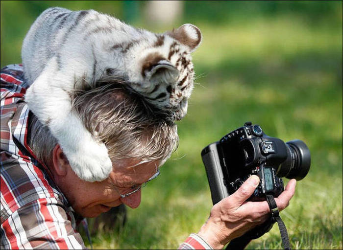 Wildlife Photographers Have A Lot Of Fun On The Job 28 Pics 