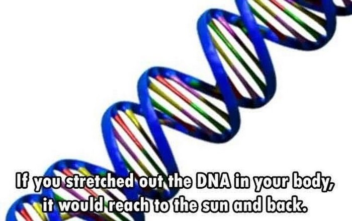 You Will Be So Much Smarter After You Learn These Fun Facts (21 pics)