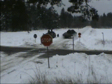 Why You Should Always Expect The Unexpected (30 gifs)