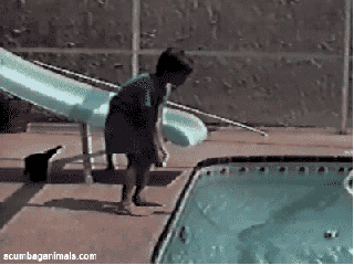 Why You Should Always Expect The Unexpected (30 gifs)
