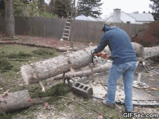 Why You Should Always Expect The Unexpected (30 gifs)