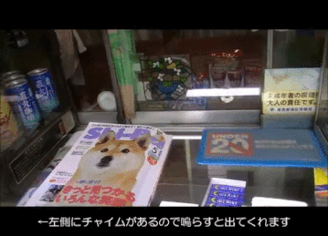 Why You Should Always Expect The Unexpected (30 gifs)