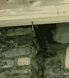 Why You Should Always Expect The Unexpected (30 gifs)