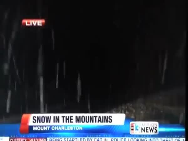 Best News Bloopers November 2015