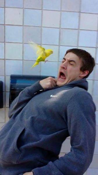 Acid Picdump (107 pics)