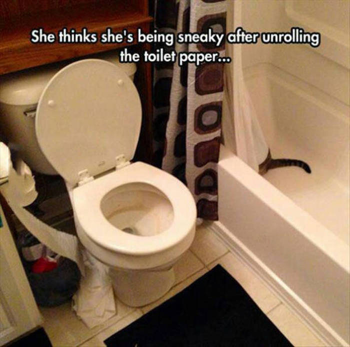Acid Picdump (107 pics)