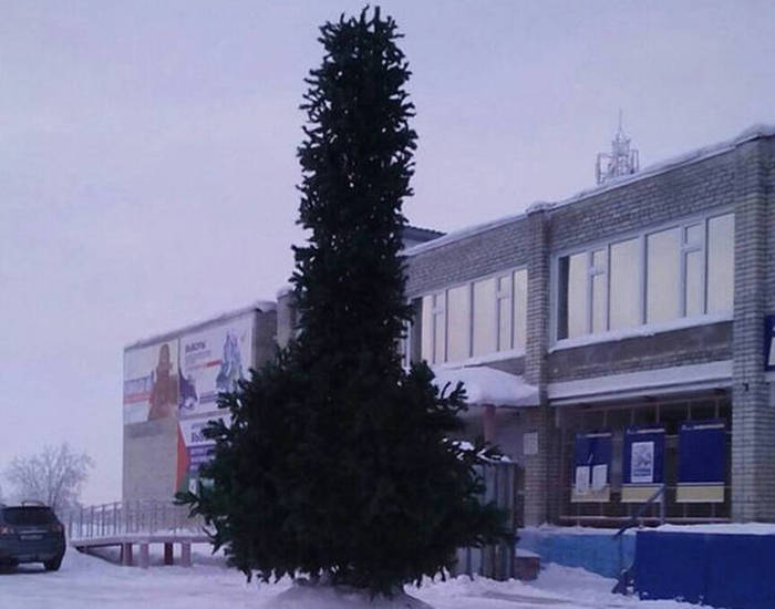 Acid Picdump (107 pics)