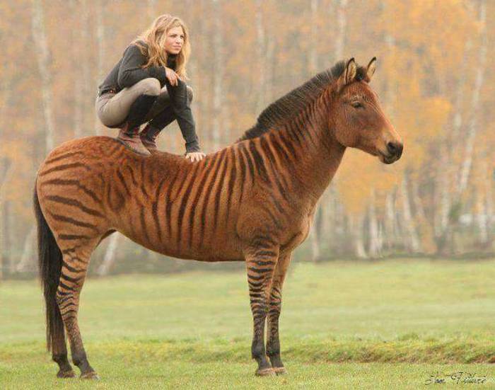 Acid Picdump (107 pics)
