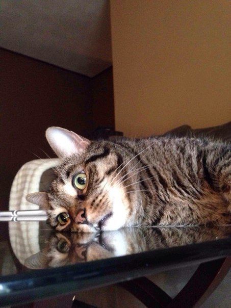 Acid Picdump (107 pics)