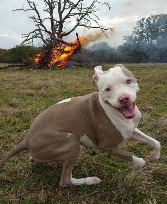 Acid Picdump (107 pics)