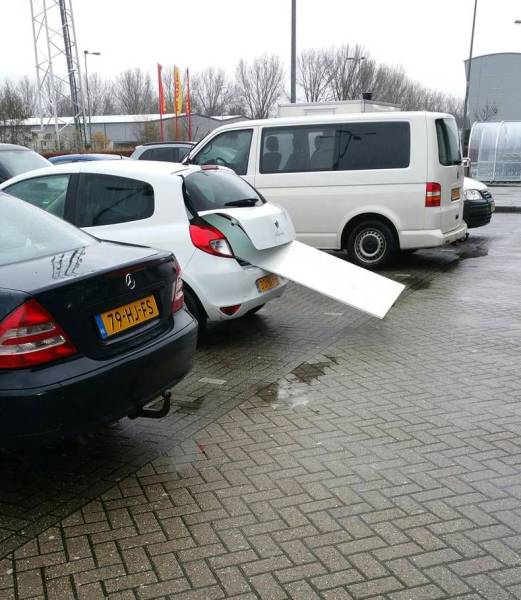 Acid Picdump (107 pics)