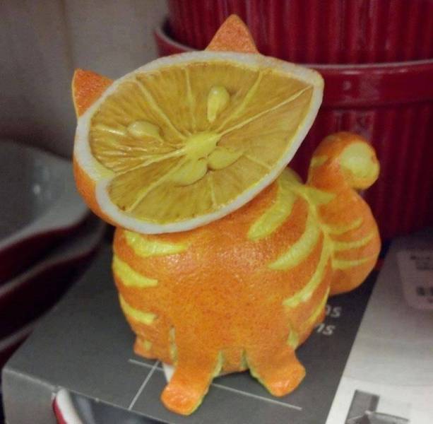 Acid Picdump (107 pics)
