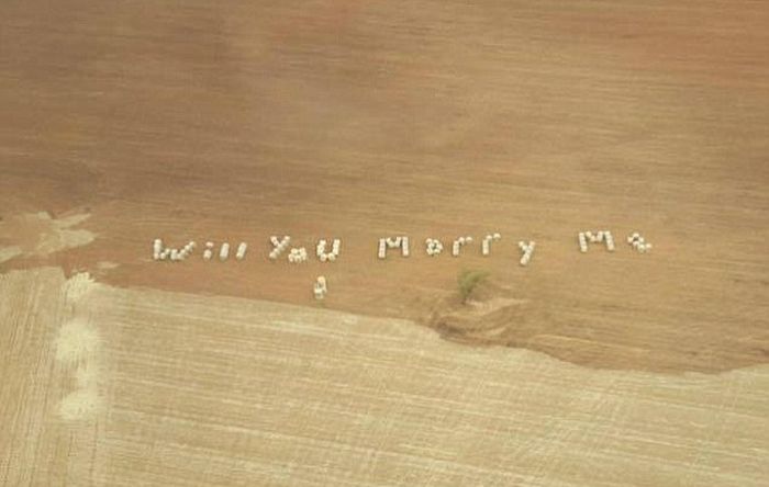 Australian Man Surprises Girlfriend With A Helicopter Ride And Marriage Proposal (4 pics)
